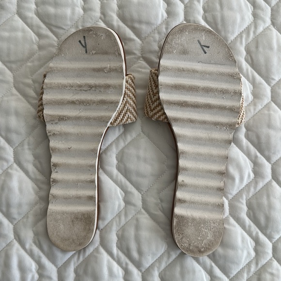 Splendid Slides - Picture 4 of 4